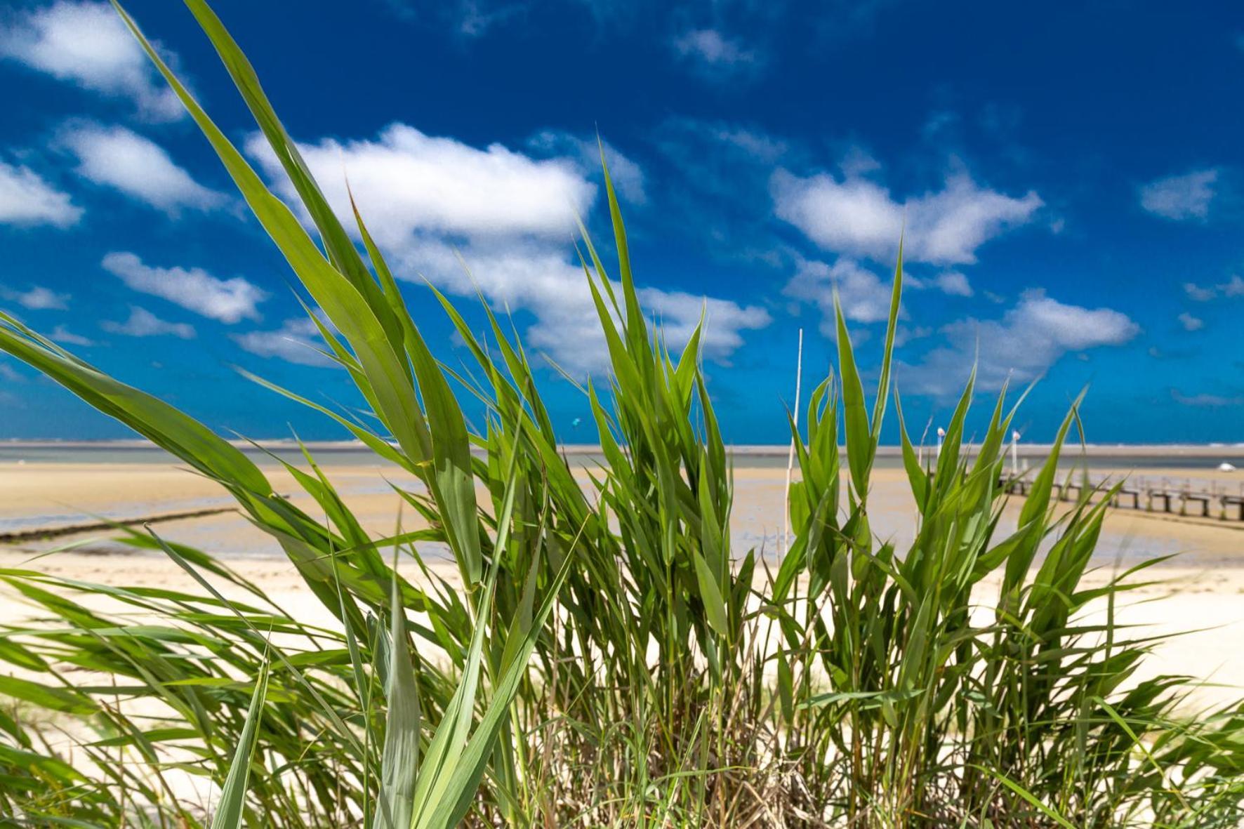 Wohnen Am Suedstrand - Ferienwohnung 1 5 Wyk auf Föhr Exteriér fotografie