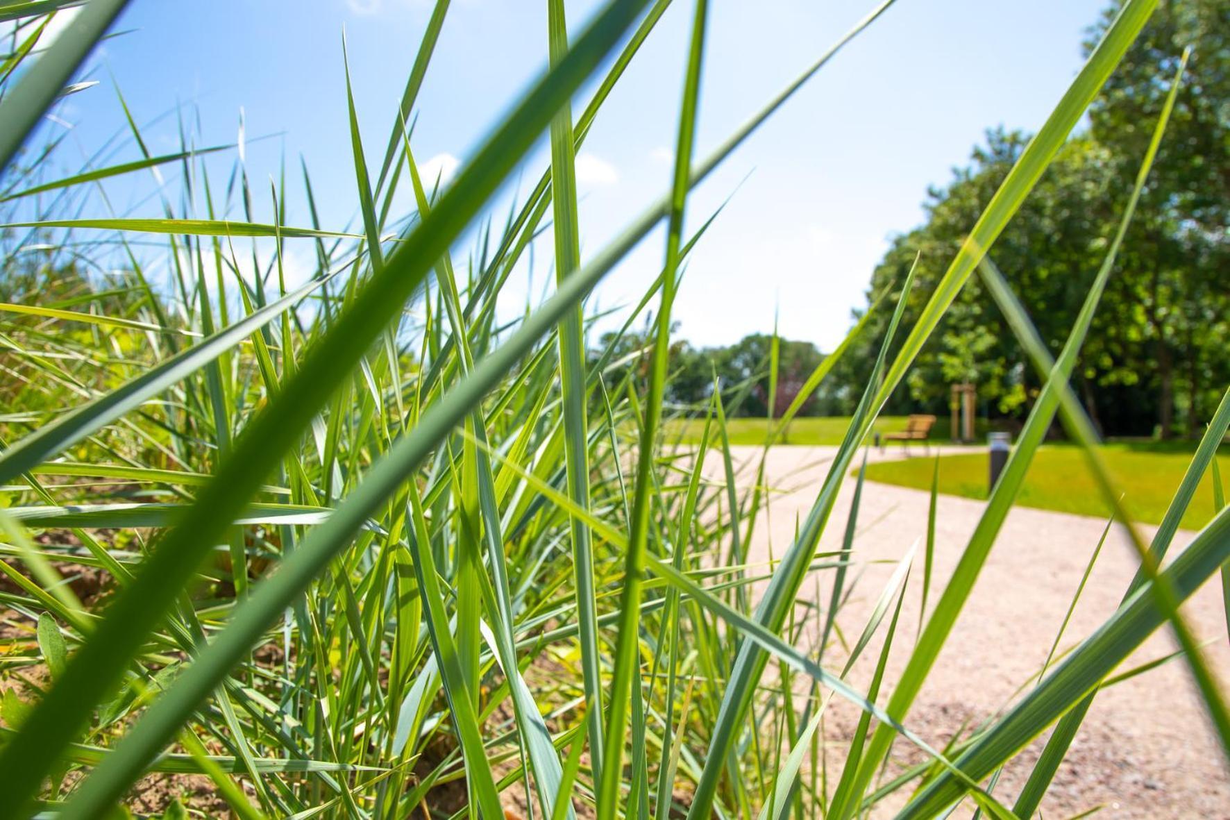 Wohnen Am Suedstrand - Ferienwohnung 1 5 Wyk auf Föhr Exteriér fotografie